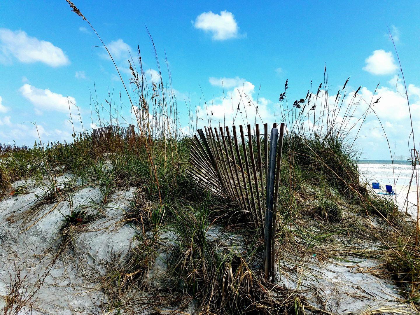 Photo #61