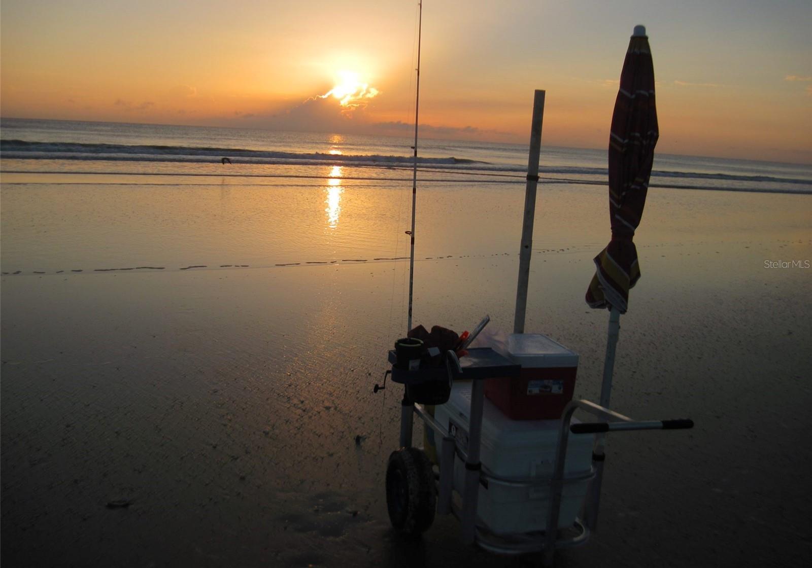 Photo #60