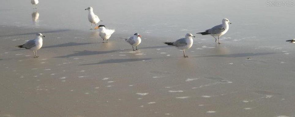Photo #58