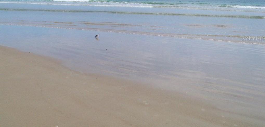 Photo #65