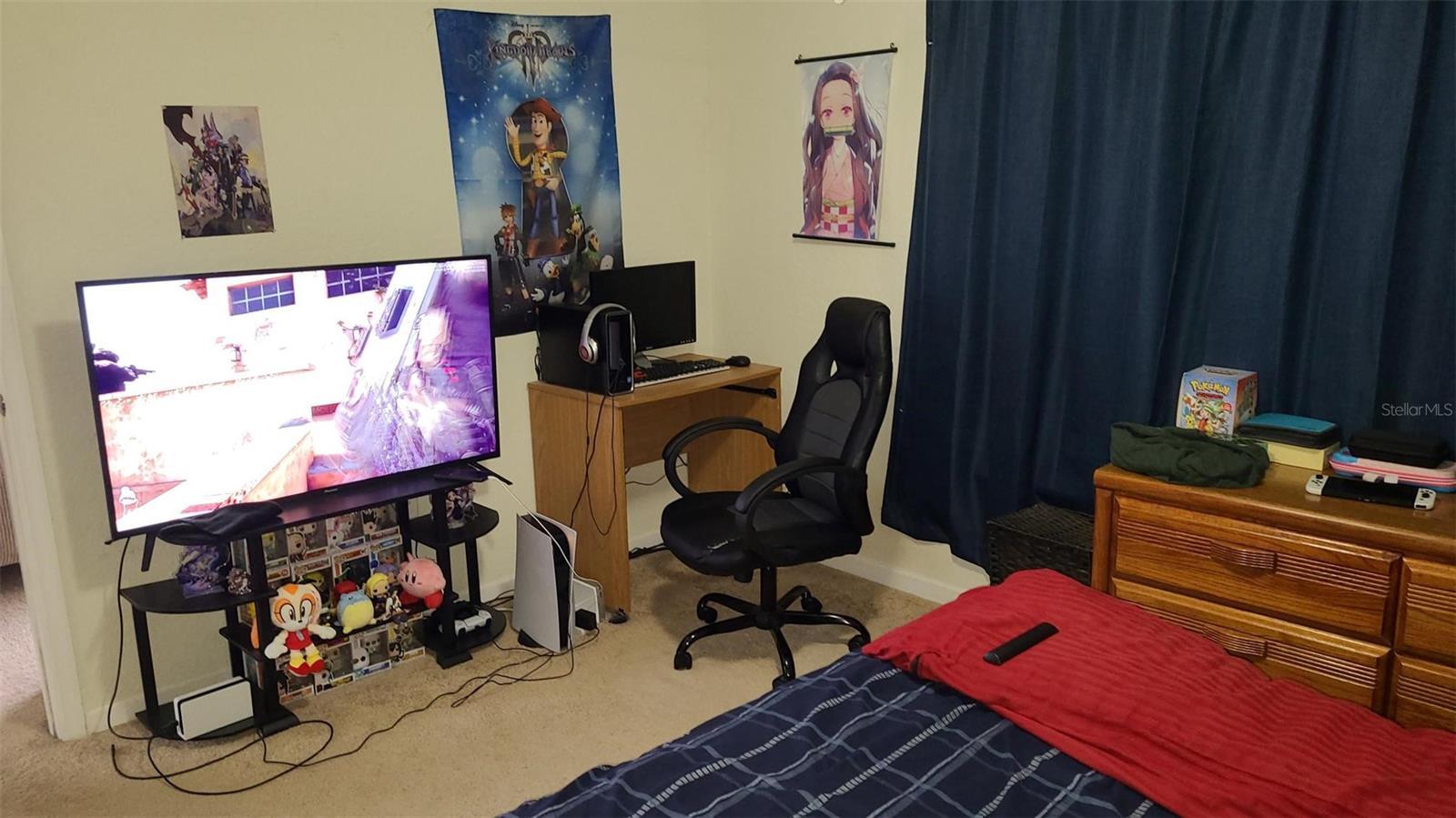 Photo #42