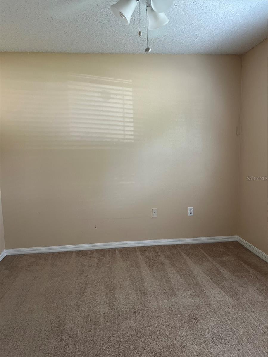 Photo #32