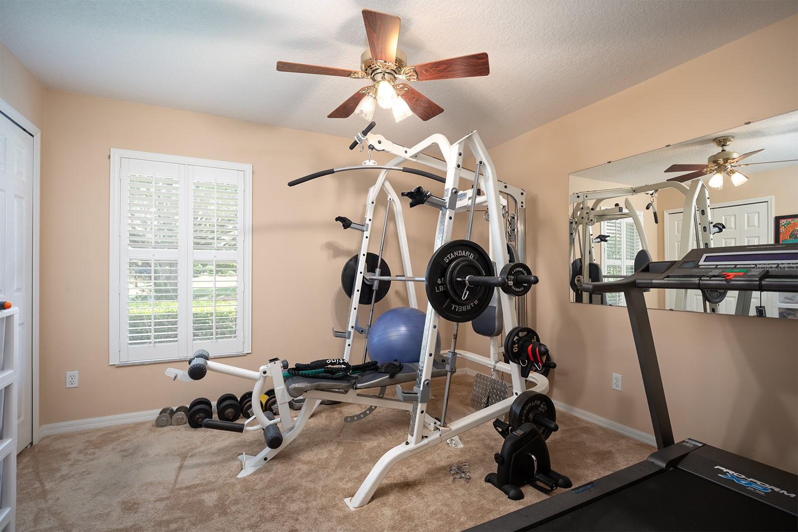 Photo #31