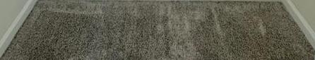 Photo #7