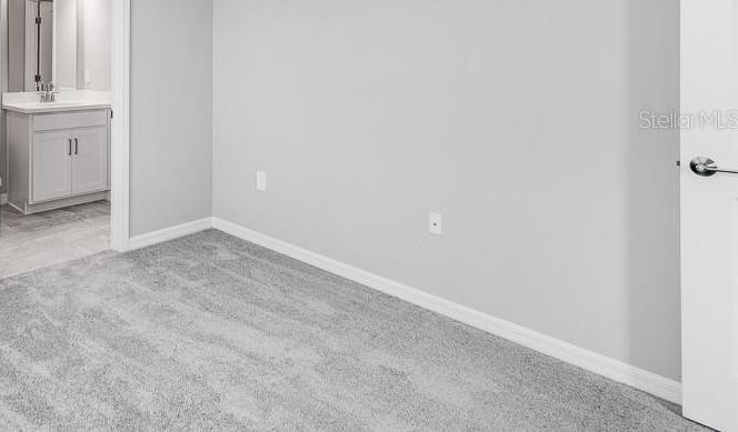 Photo #14