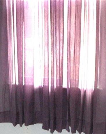 Photo #18