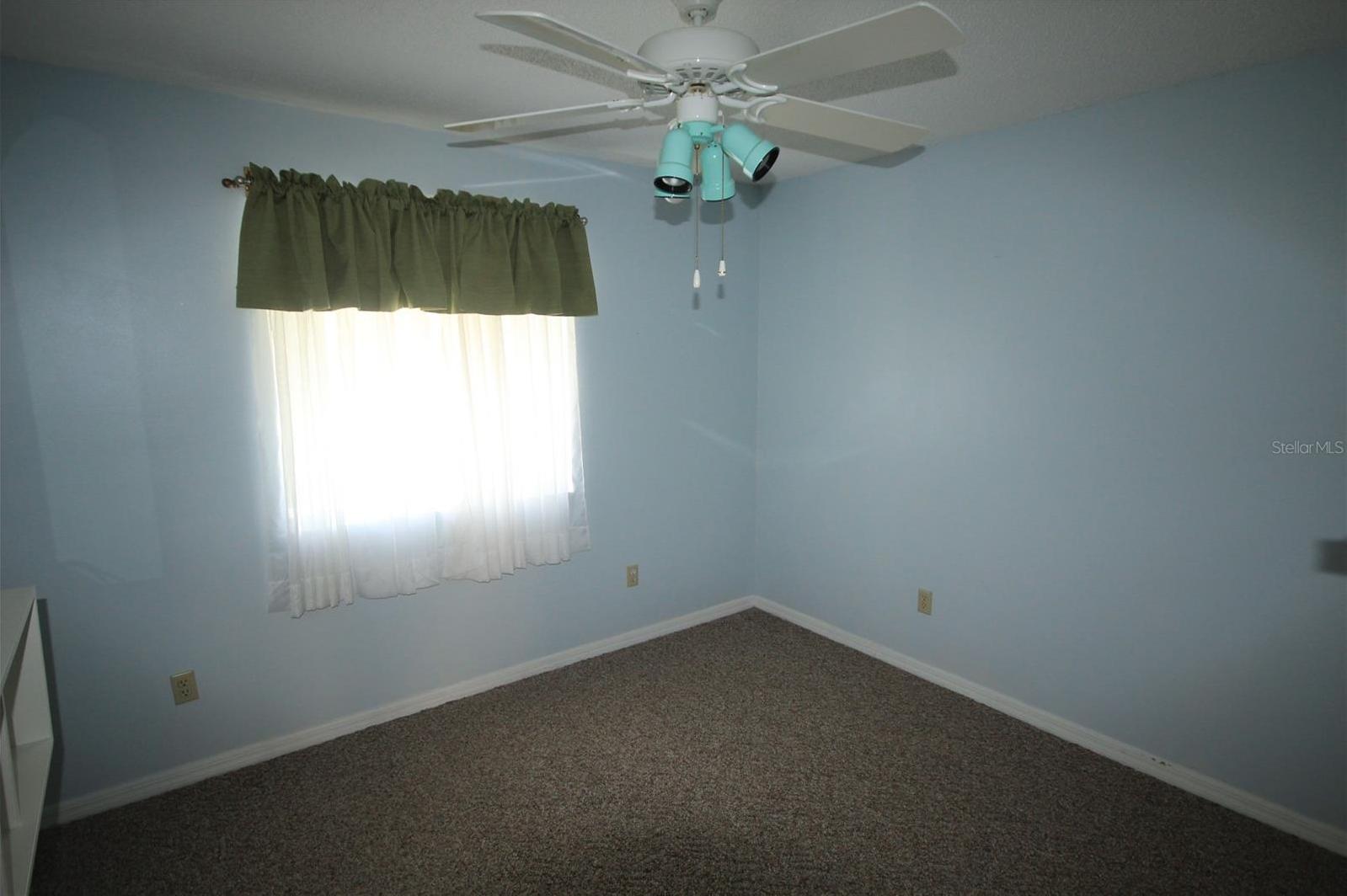 Photo #5