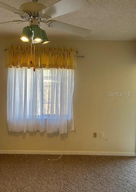 Photo #13