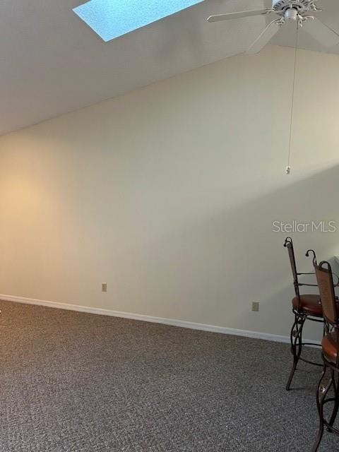 Photo #8