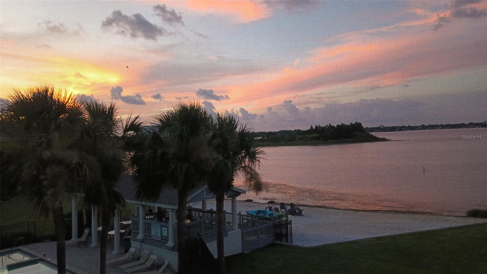 Photo #29
