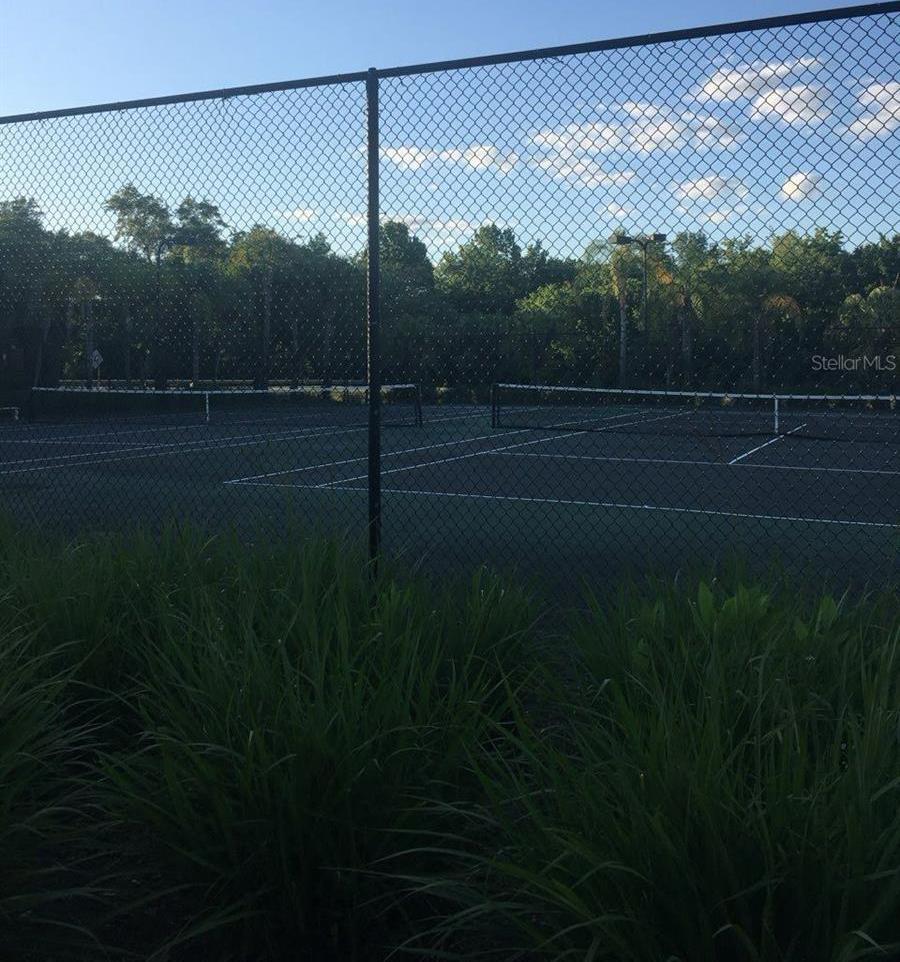 Photo #21