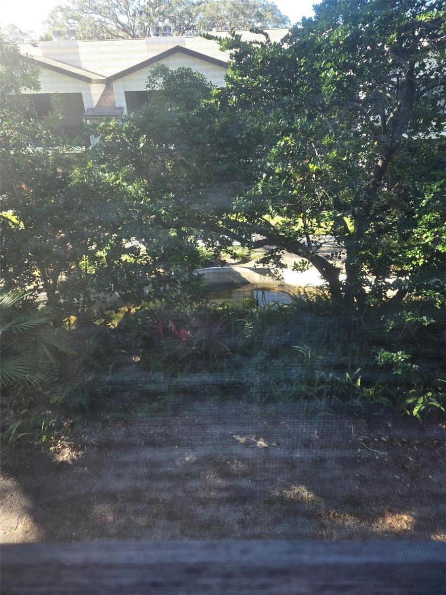 Photo #25