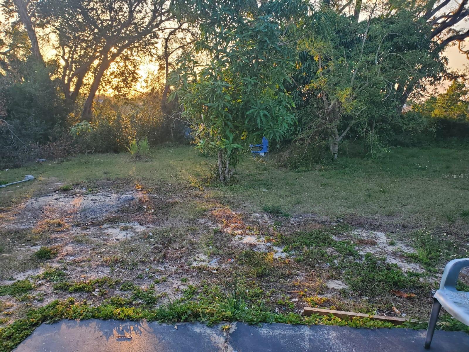 Photo #23