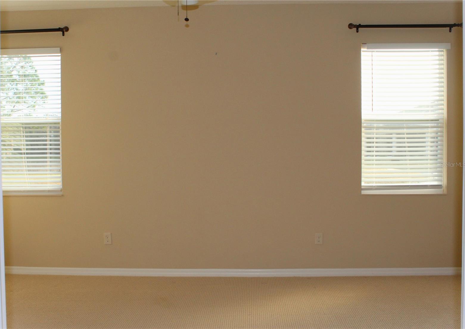Photo #16