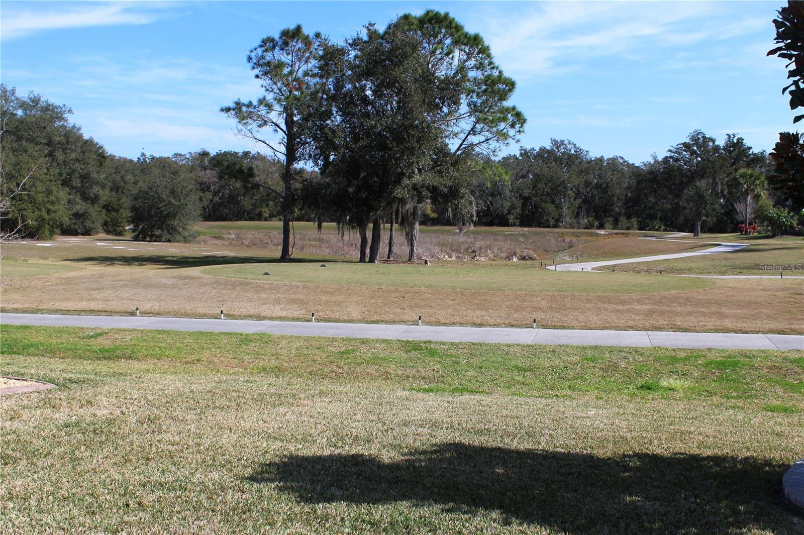 Photo #32