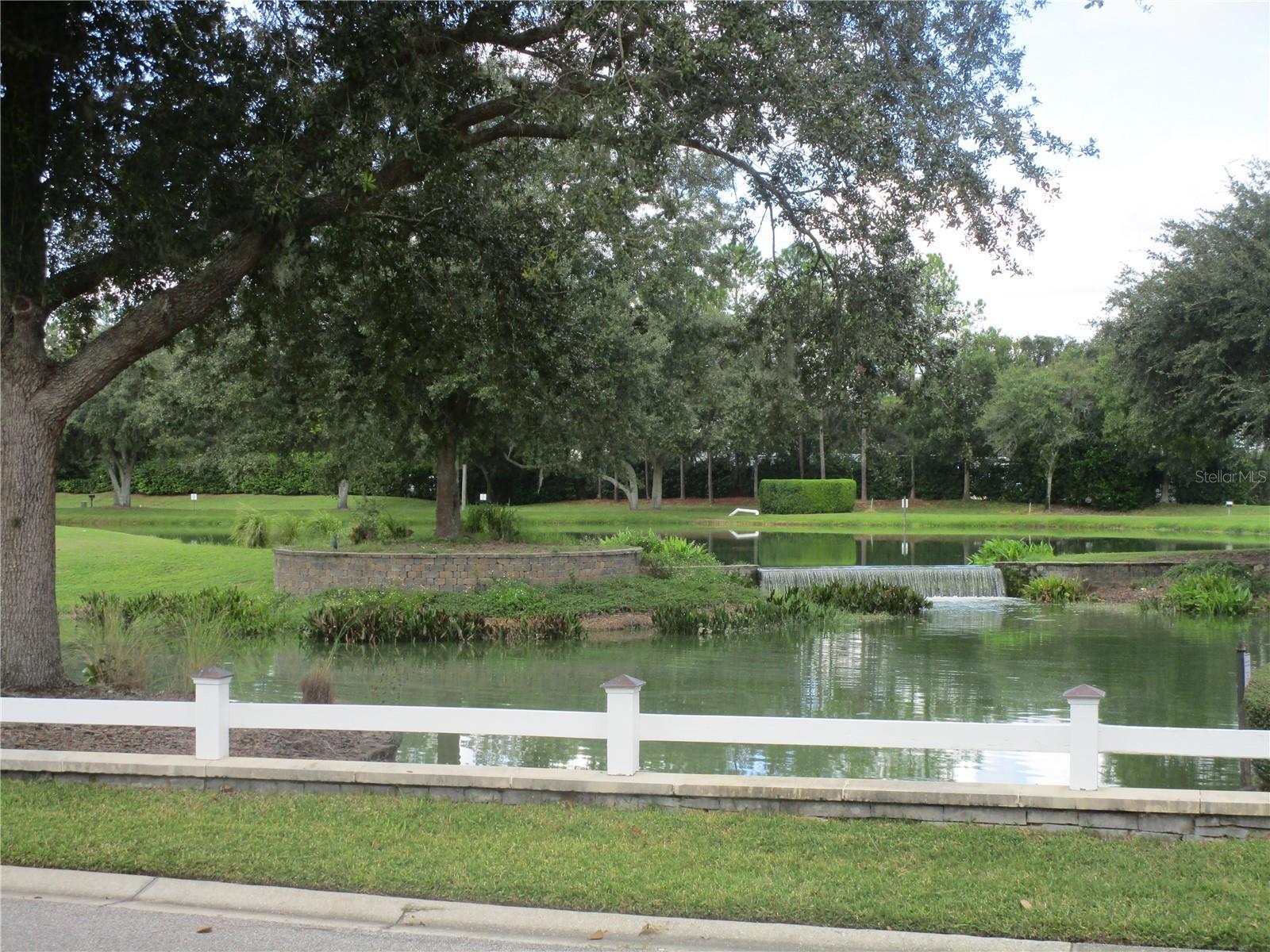 Photo #37
