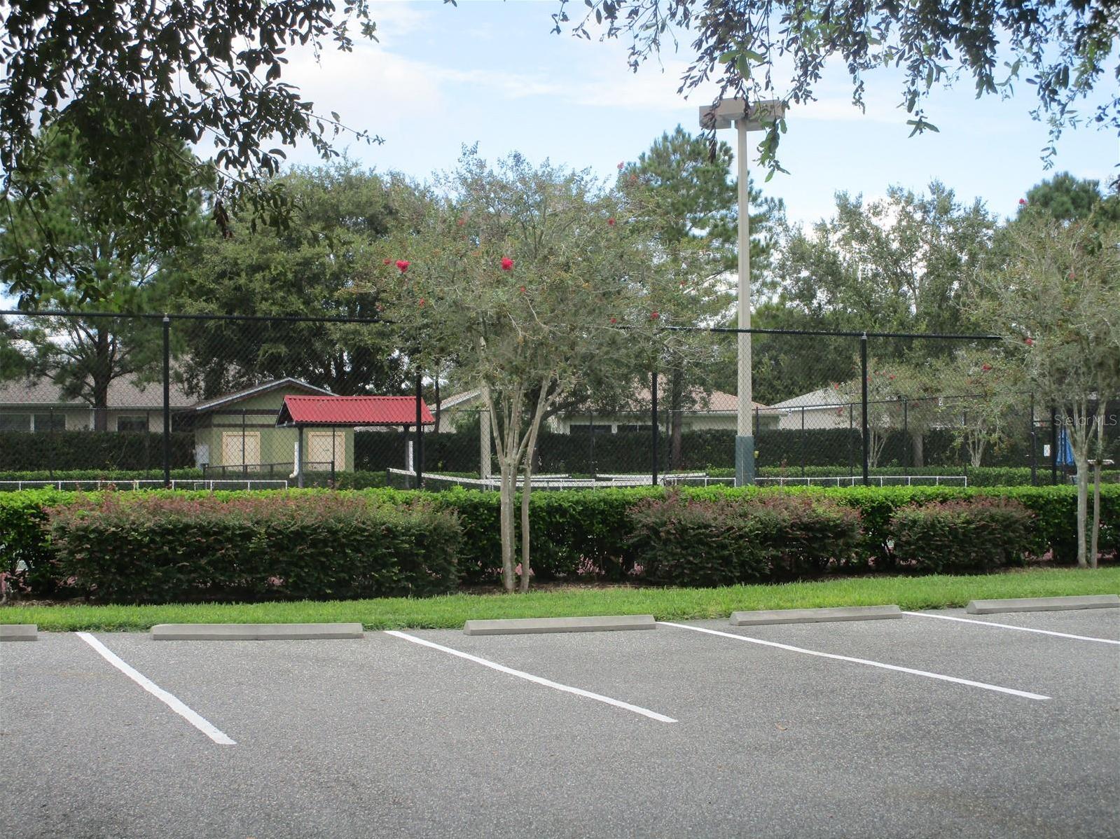 Photo #38