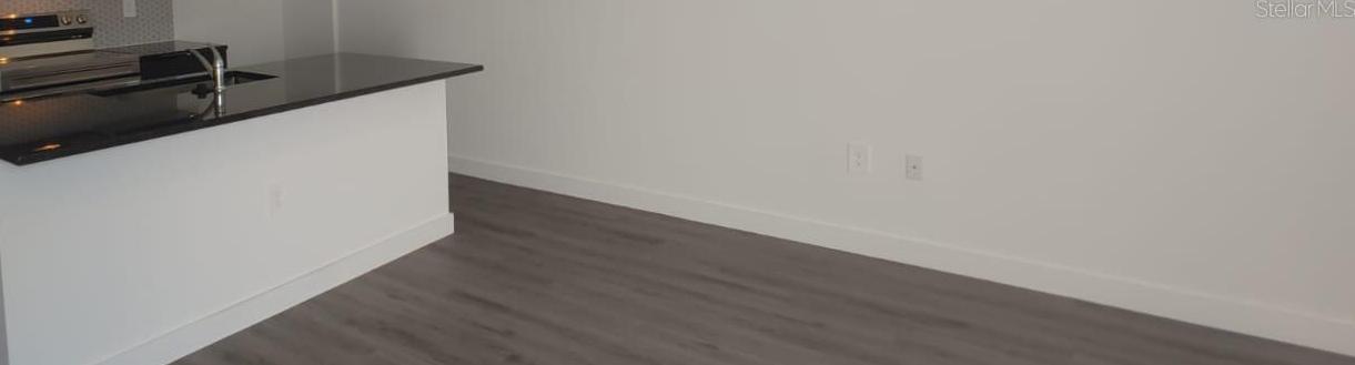 Photo #12