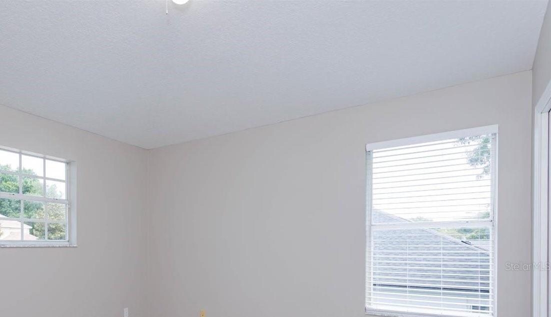 Photo #29
