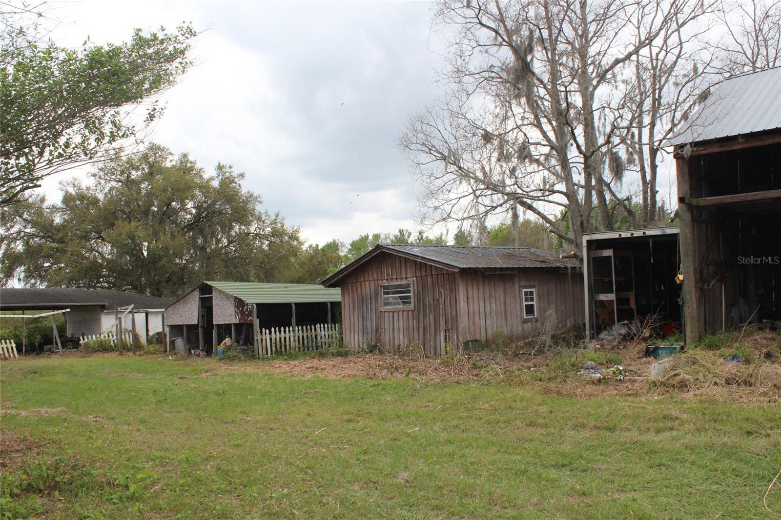 Photo #29