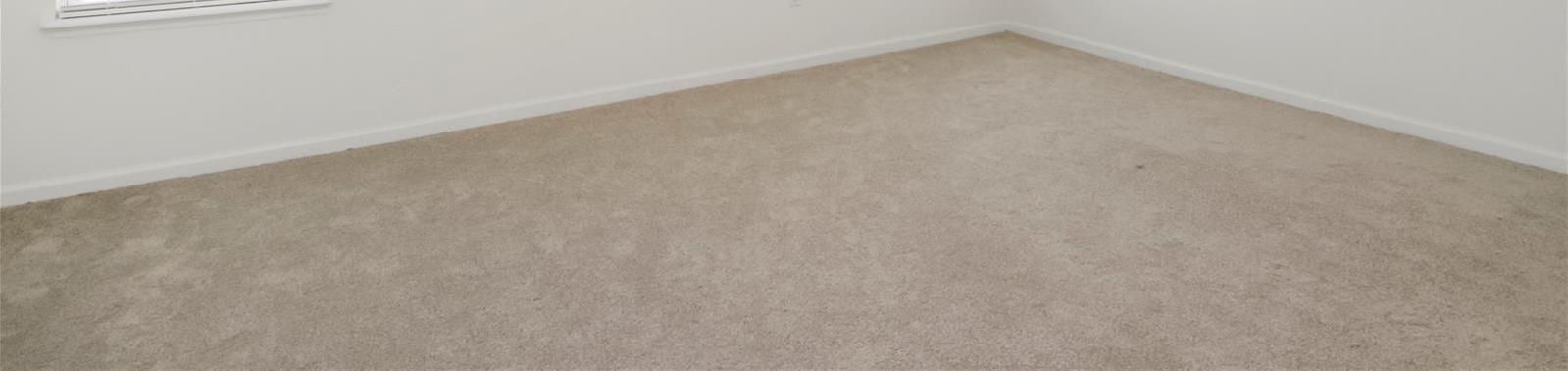 Photo #18