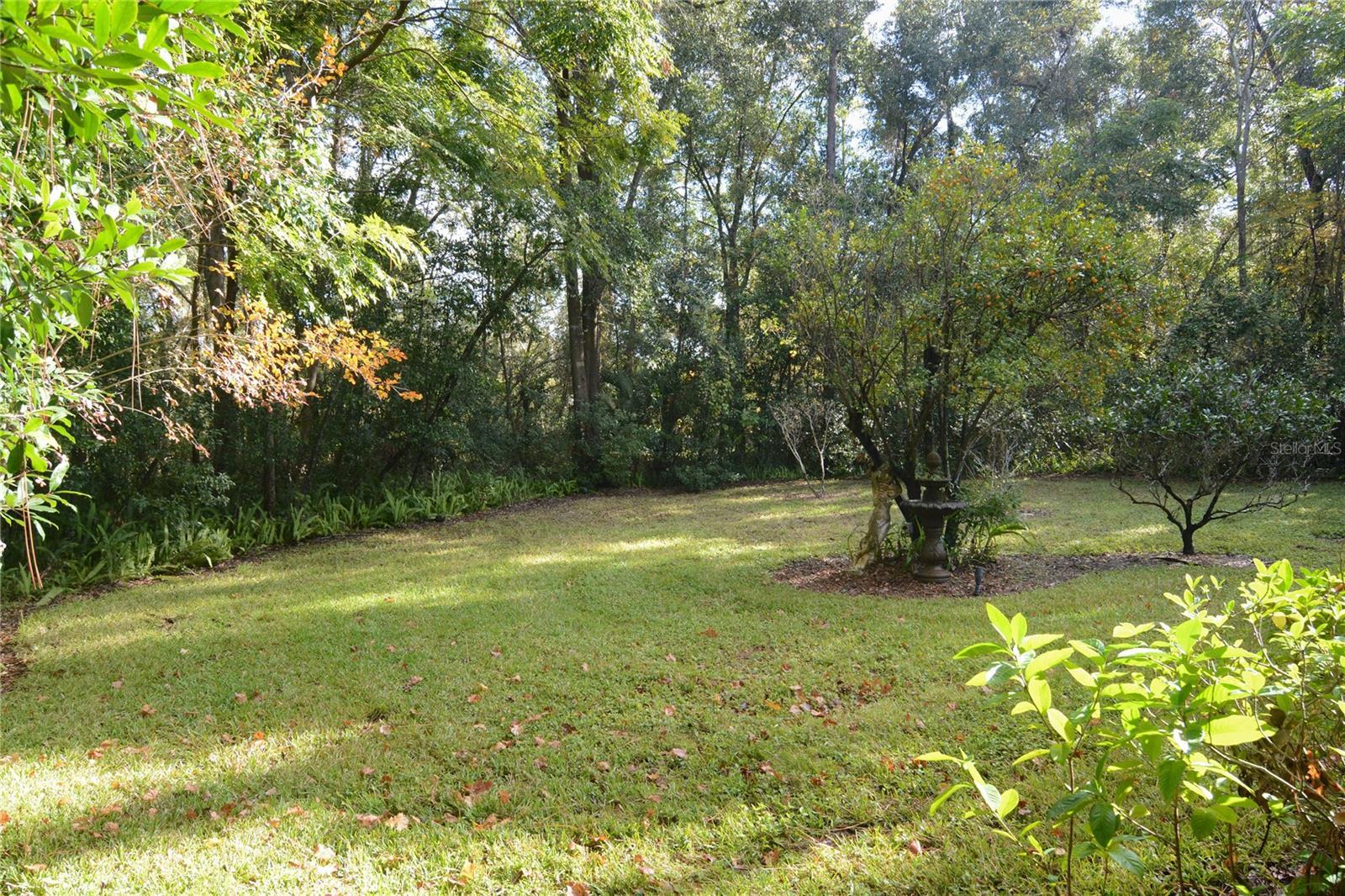 Photo #51