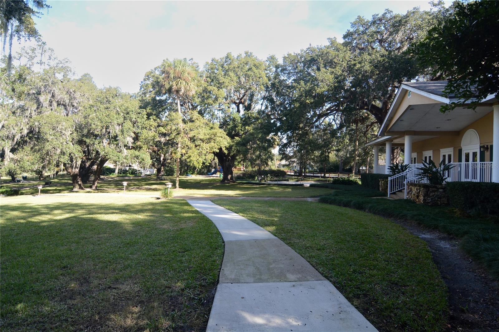 Photo #55