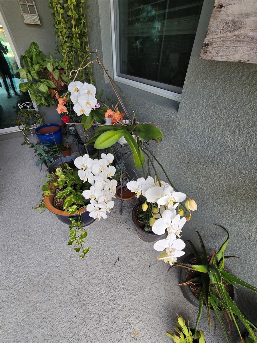 Photo #64