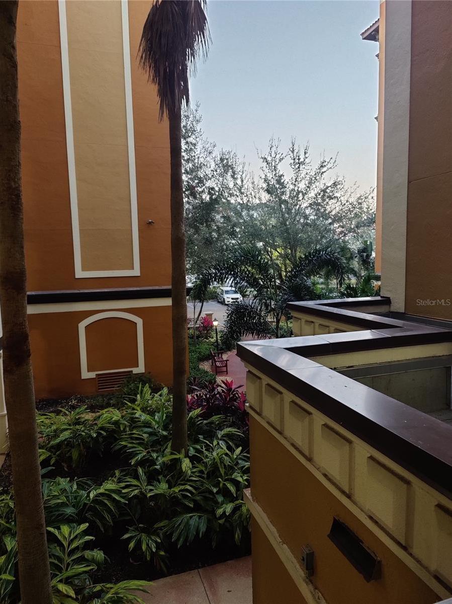 Photo #37