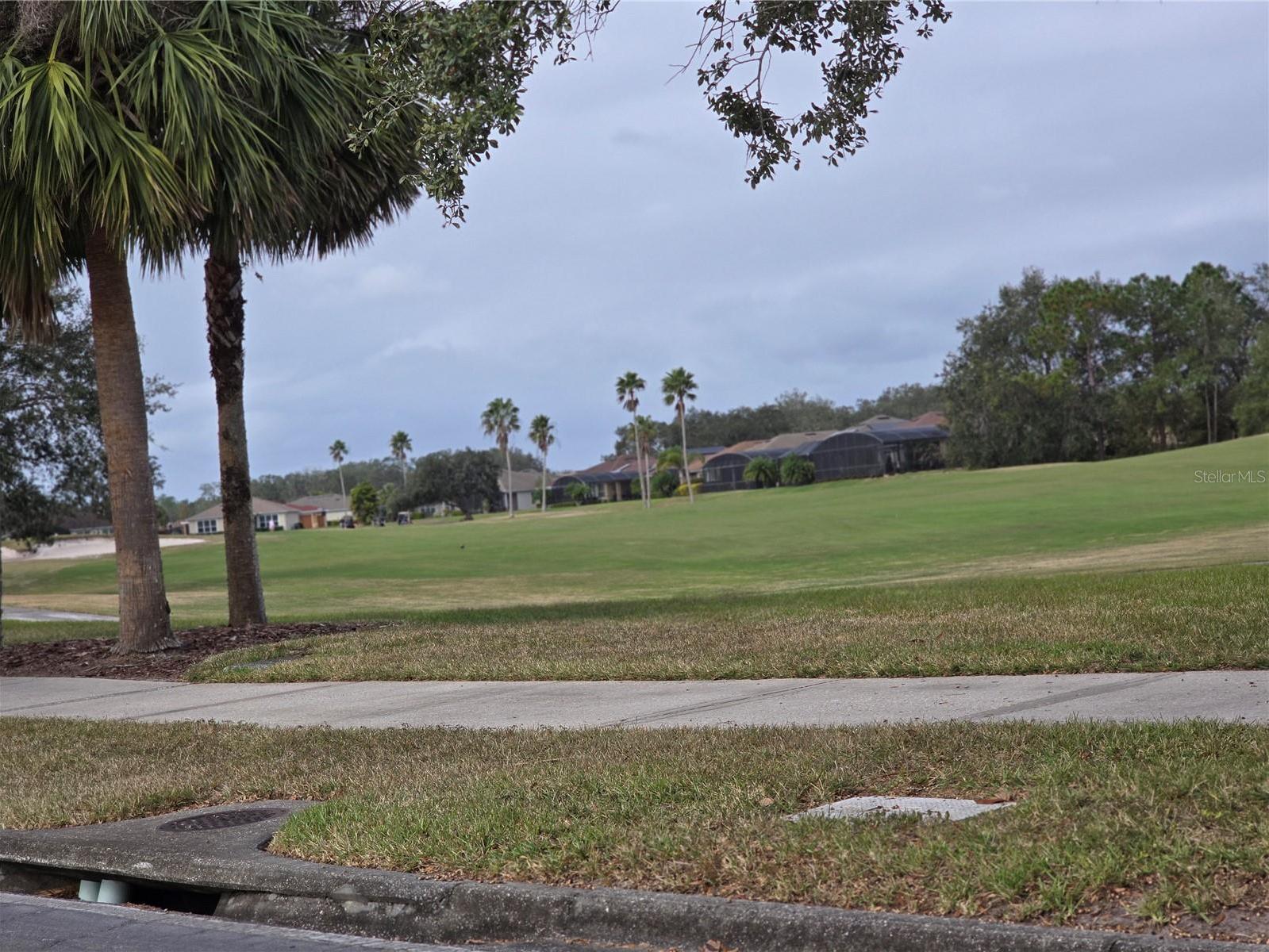 Photo #47