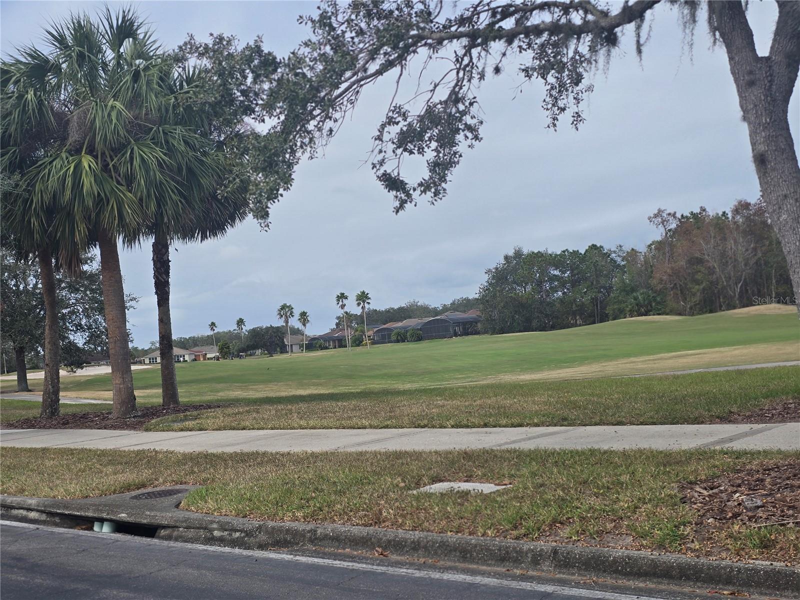 Photo #48