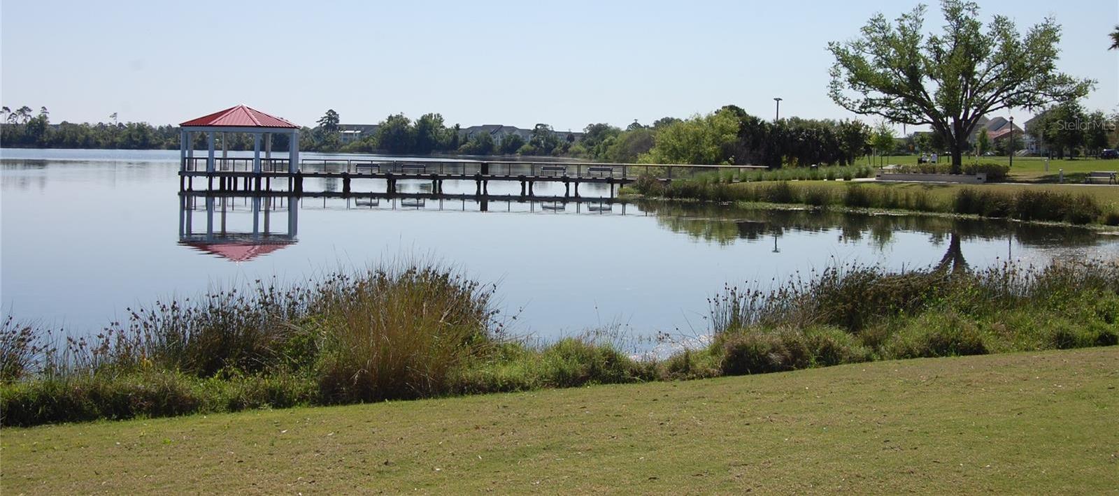 Photo #62