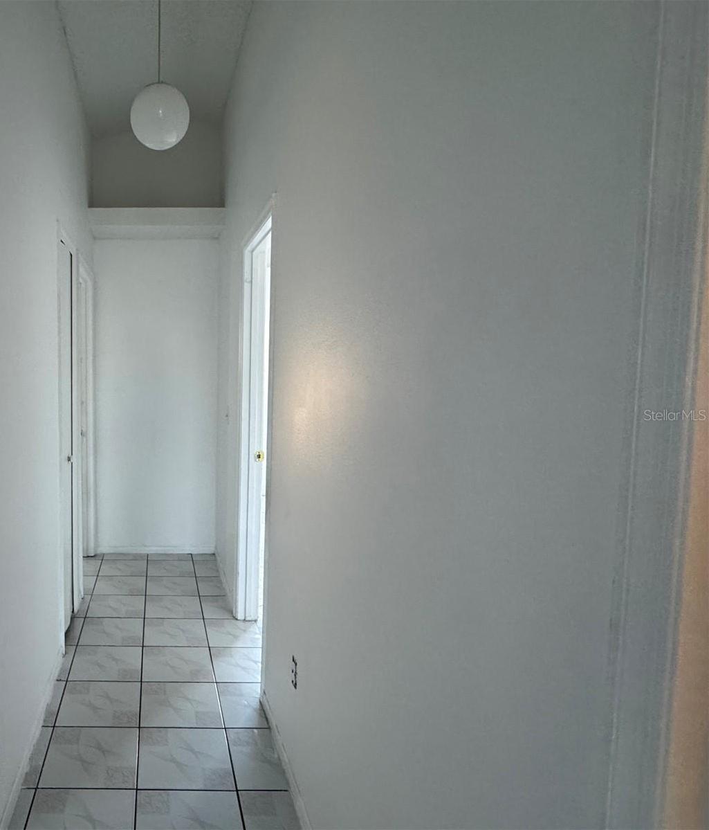Photo #10