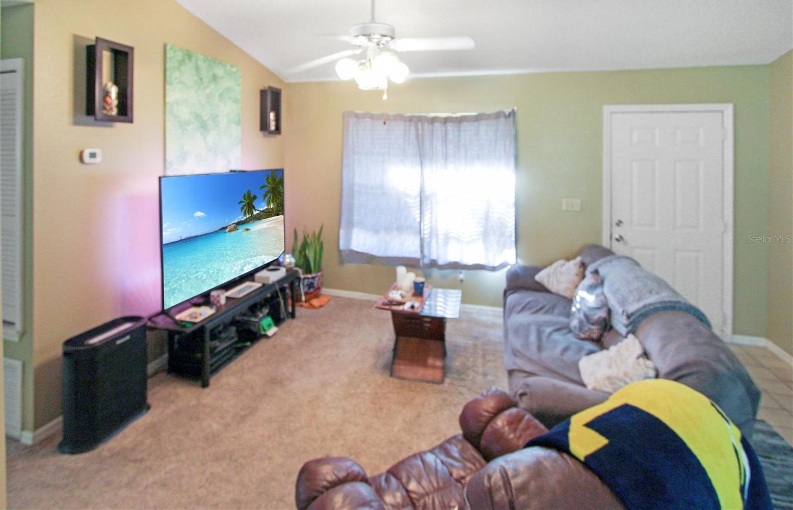 Photo #3