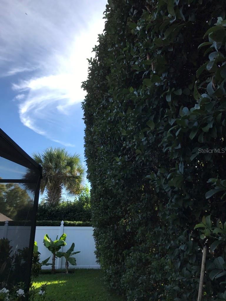 Photo #65