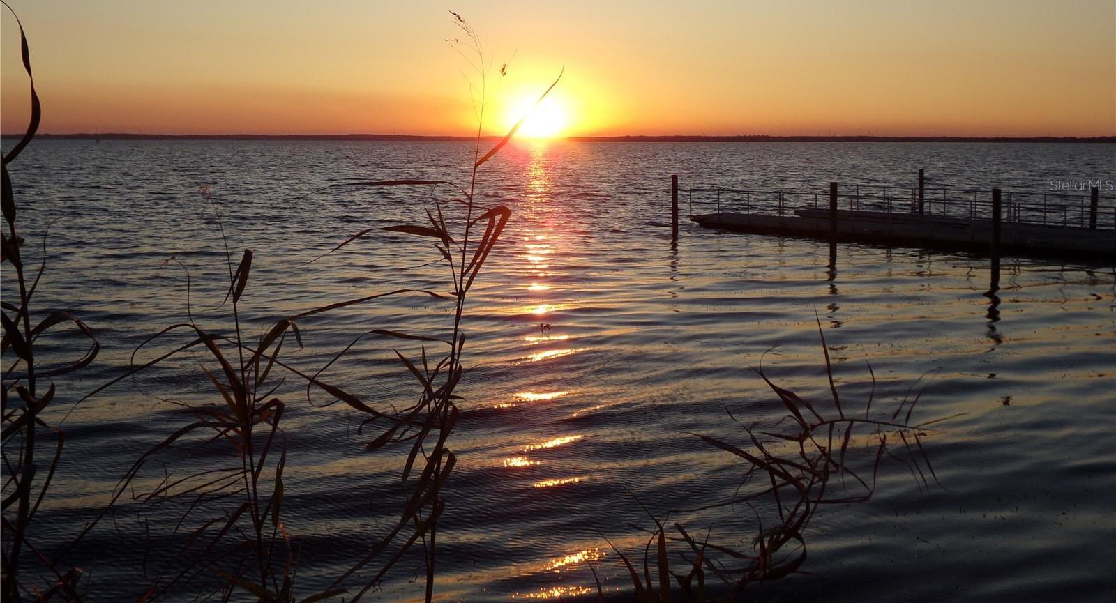 Photo #39