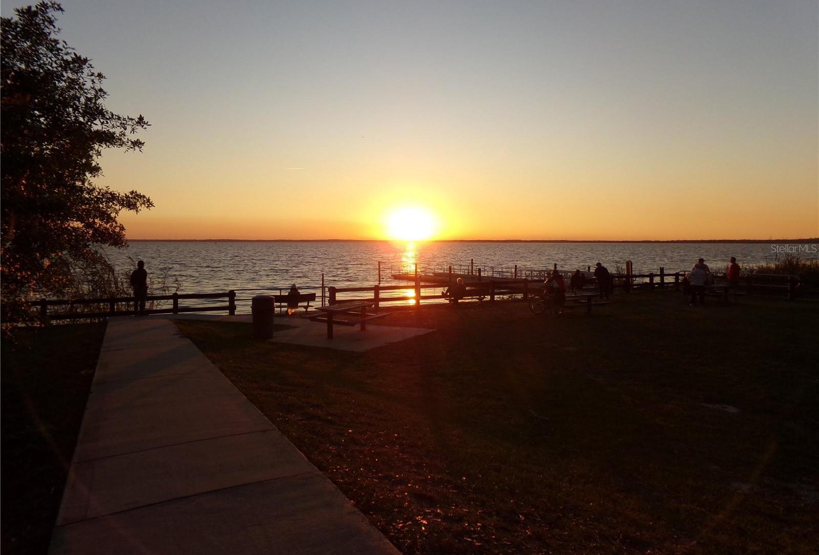 Photo #37