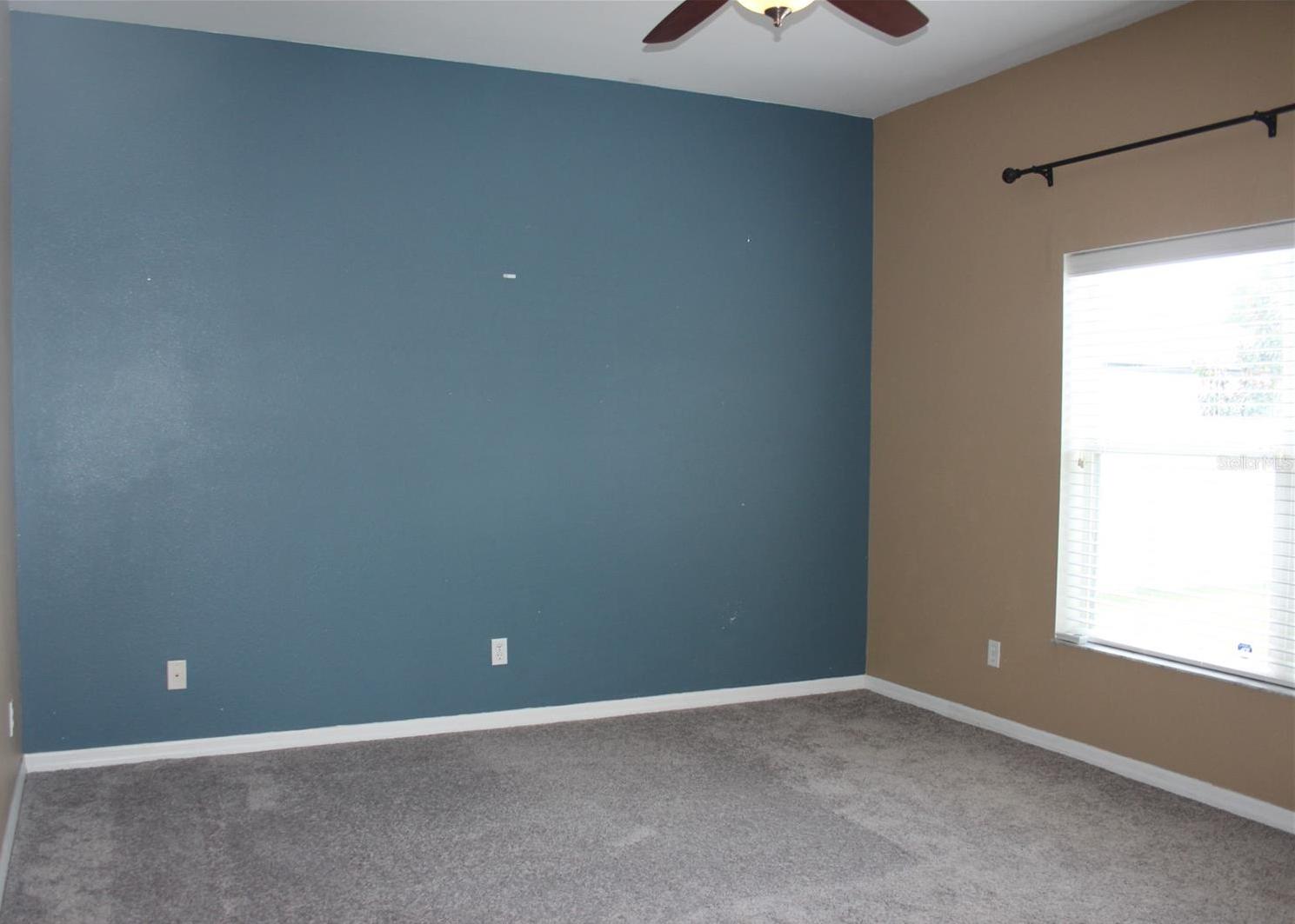 Photo #42