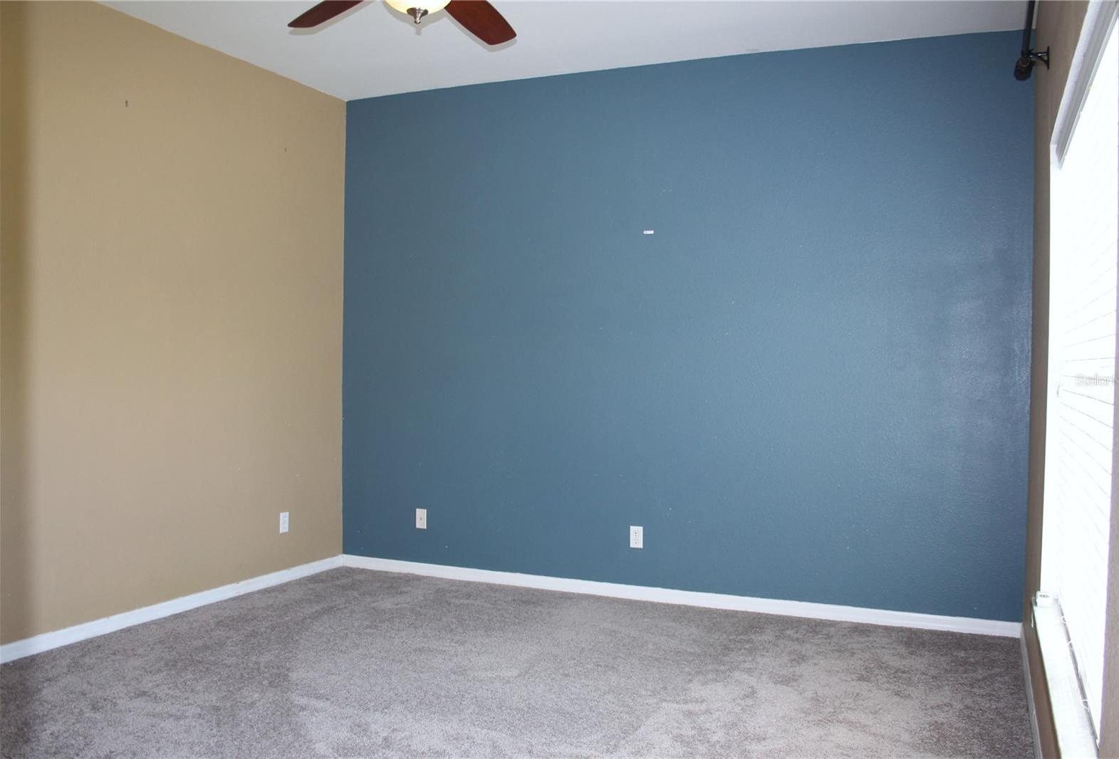 Photo #41