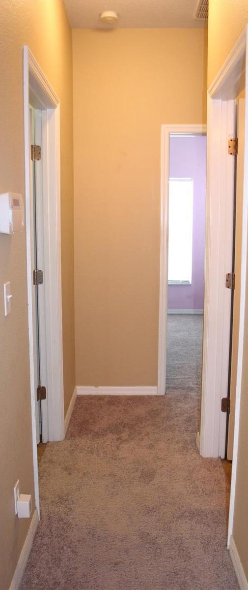 Photo #54