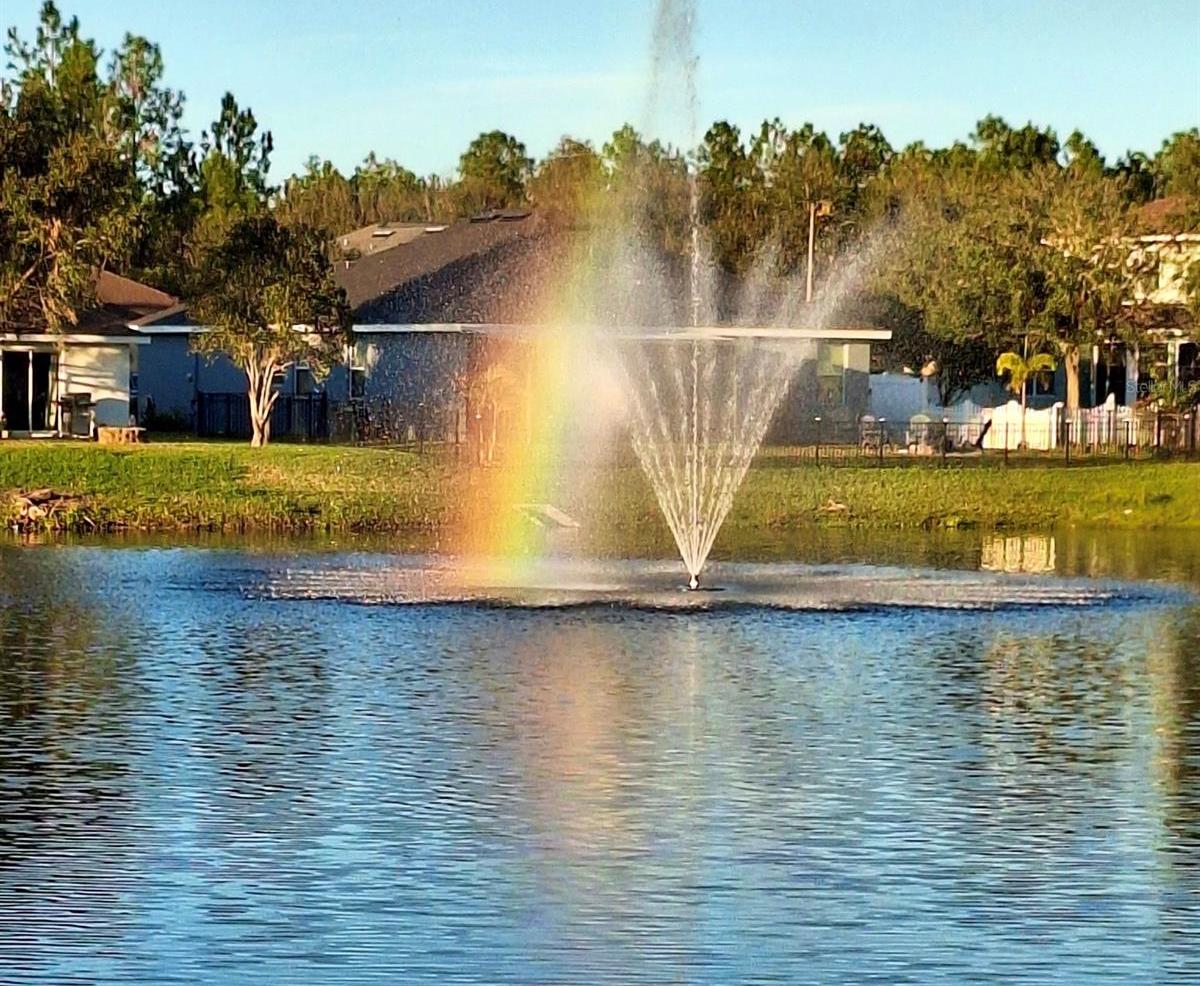 Photo #33