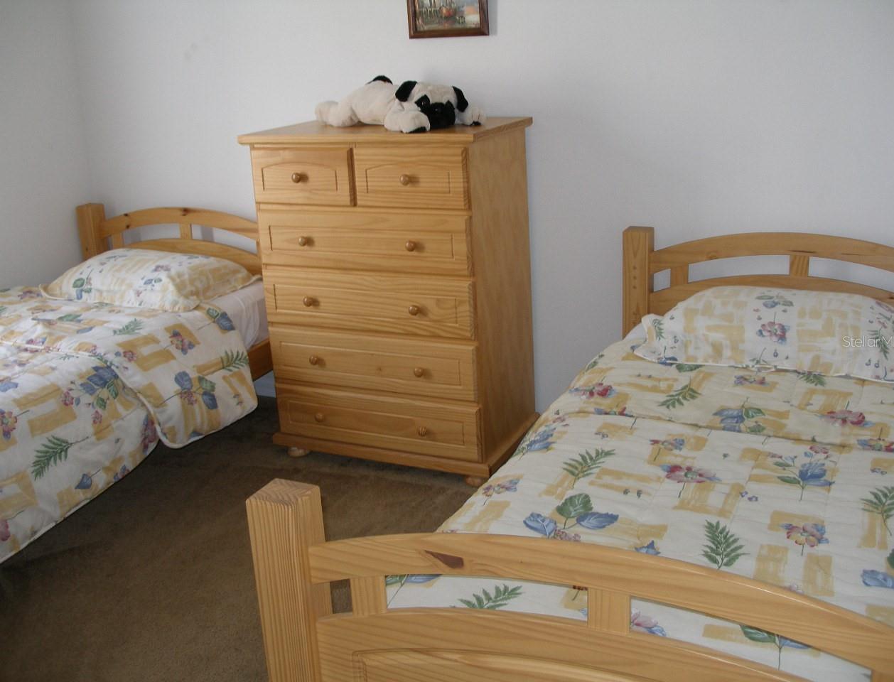 Photo #10