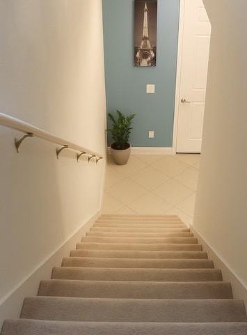 Photo #10