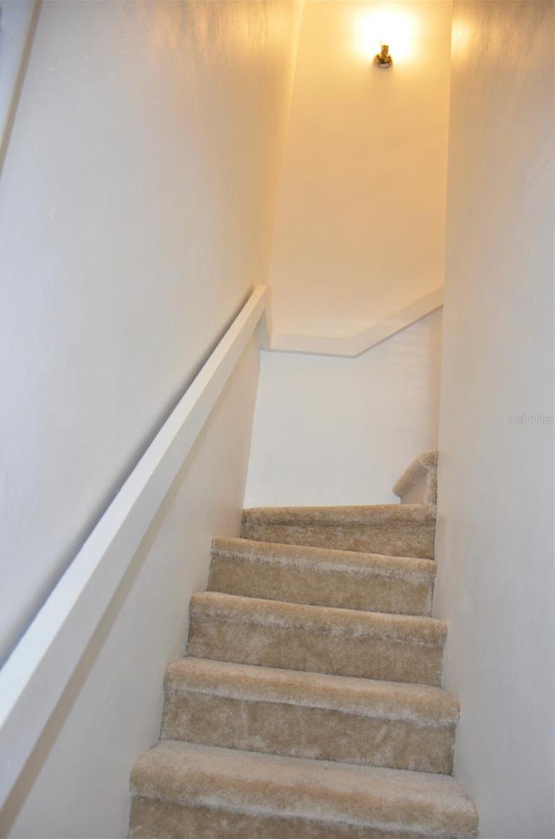 Photo #14
