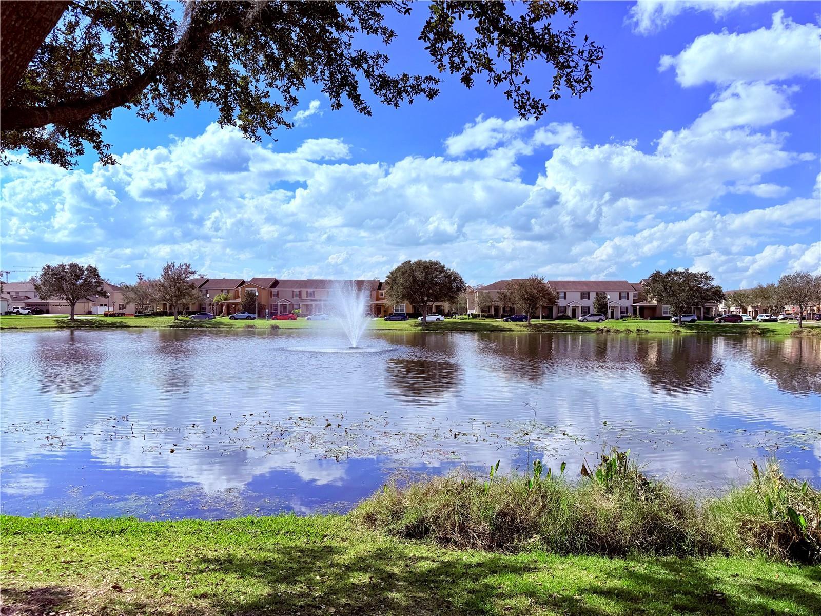 Photo #40