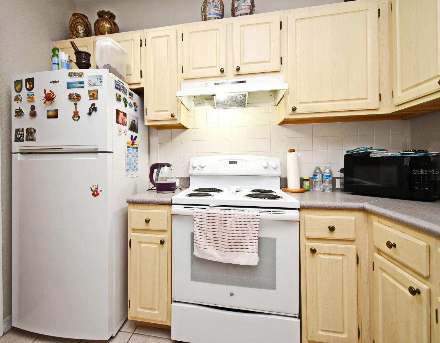 Photo #14