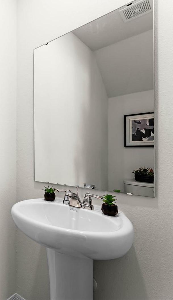 Photo #16