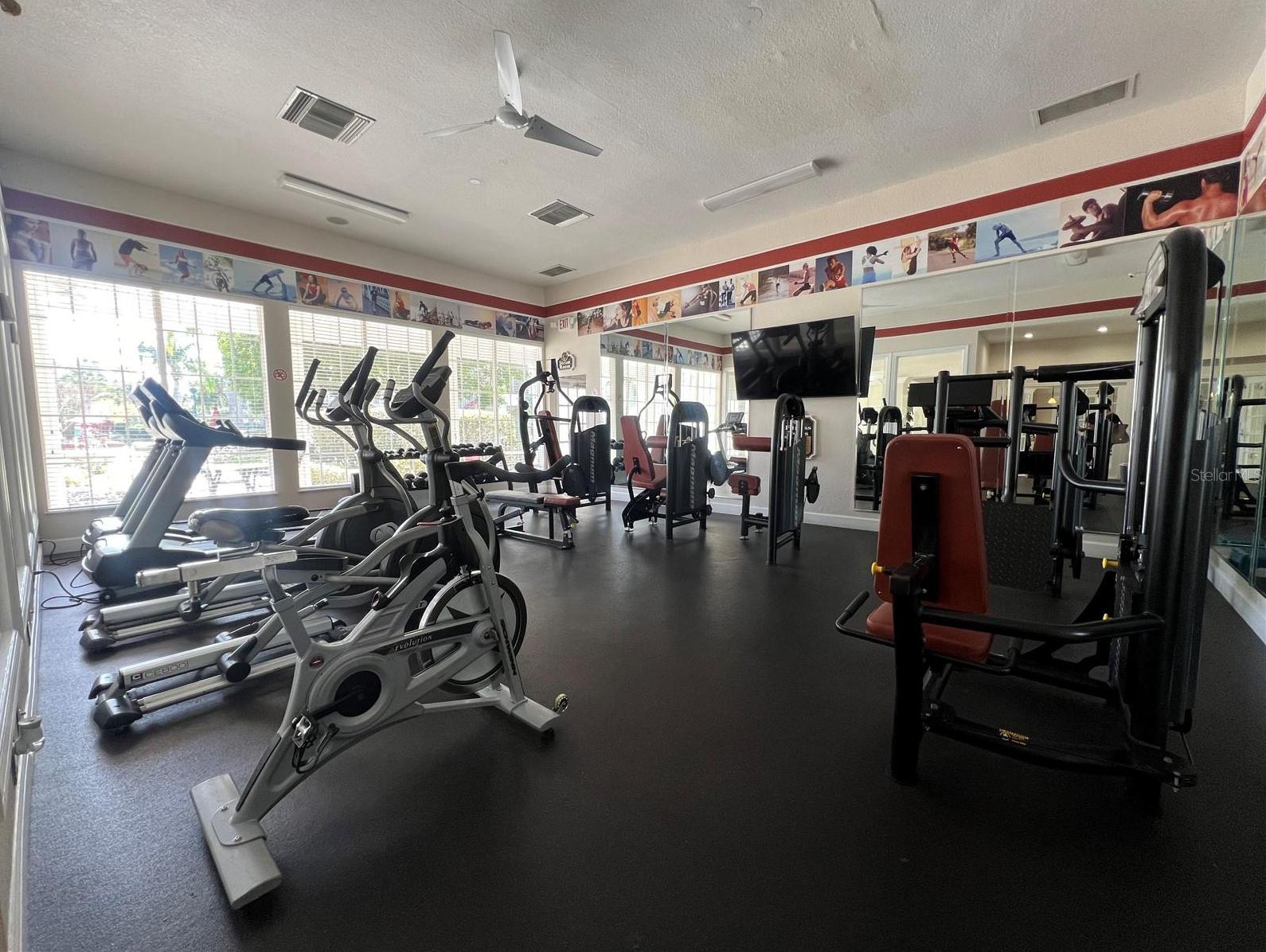 Photo #17