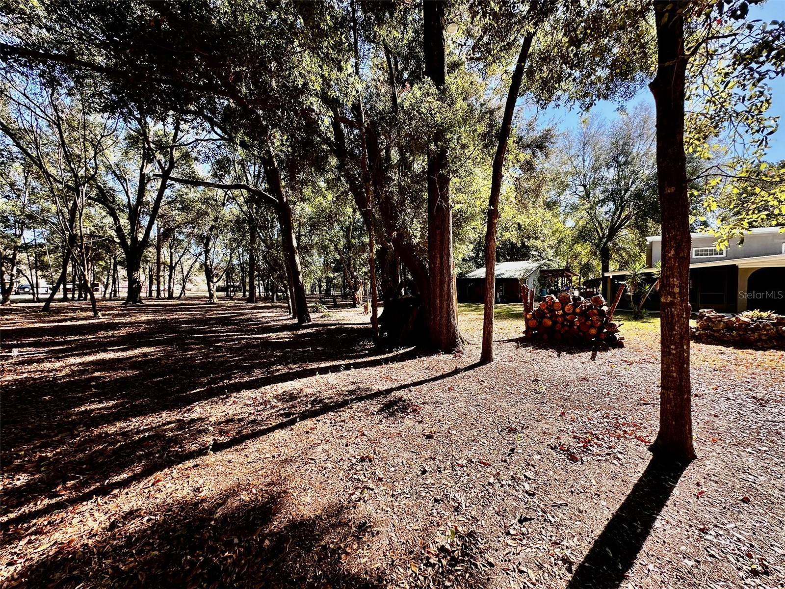 Photo #11