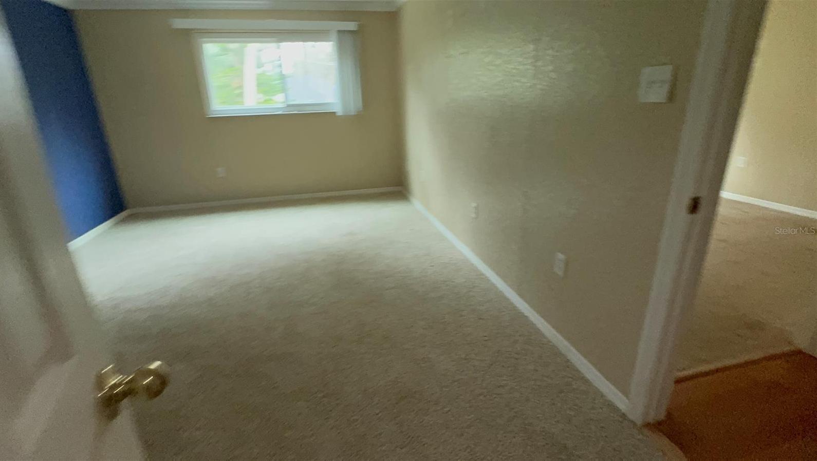 Photo #14